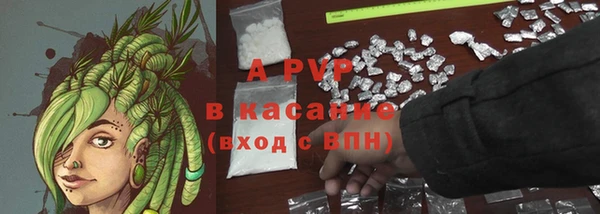 СК Осинники
