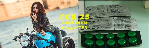 PSILOCYBIN Абаза