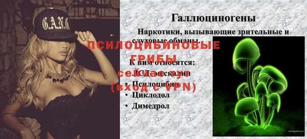 PSILOCYBIN Абаза