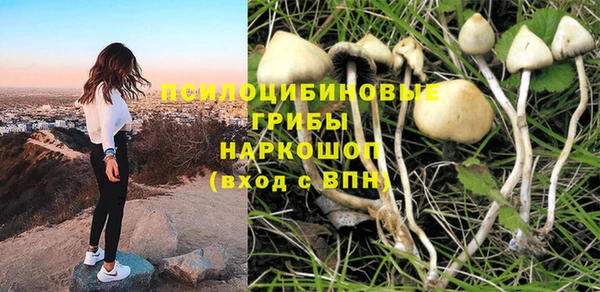МДПВ Остров