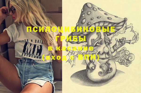 СК Осинники